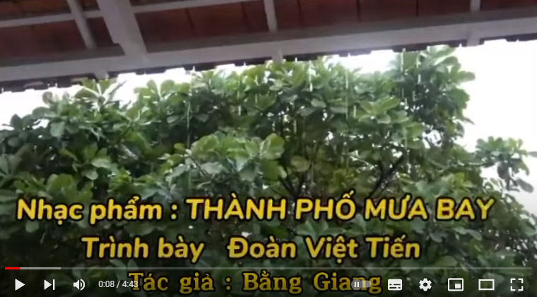 THÀNH PHỐ MƯA BAY – Tác giả Bằng Giang – Trình bày : Đoàn Việt TIến